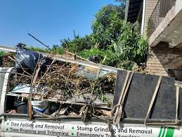 Best Yard Waste Removal  in Briggs, OK